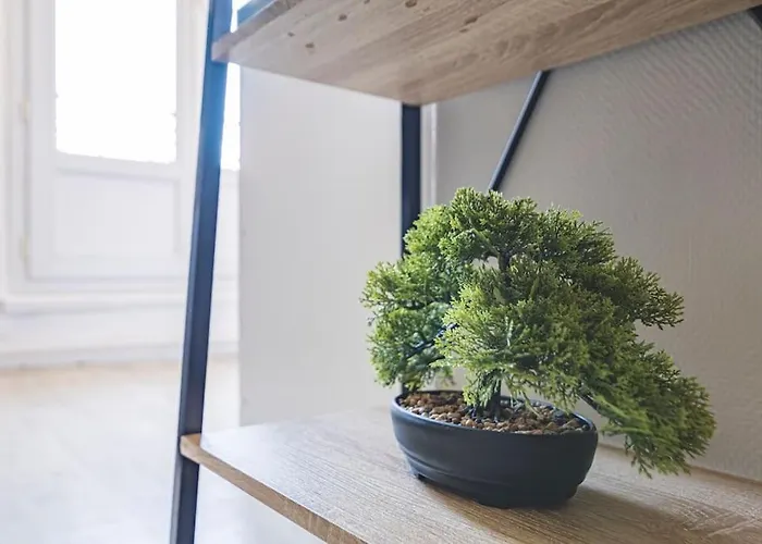 Apartment Cosy Zen Jd53#2